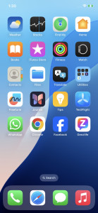 312321312 Fnngchcjcj